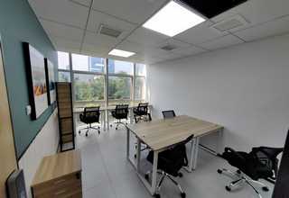 北京果岭草坪采购