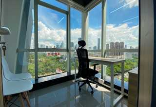 宿迁花卉苗木出售