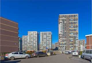 上海酞菁高耐候绿