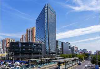 杭州染色剂厂家