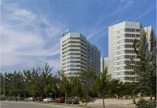 膳食纤维压片糖果代加工