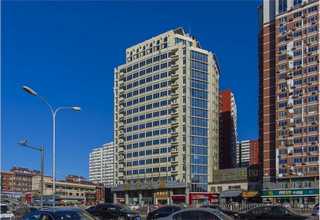 福建黑金沙批发价